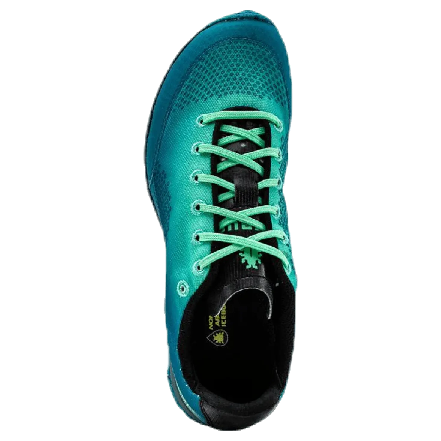 Acceleritas8 RB9X Blue/Green