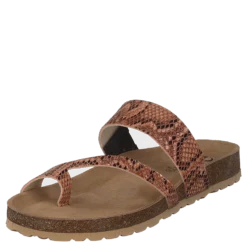 Adan Sand Snake
