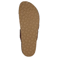 Adan Sand Snake