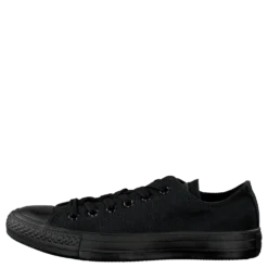All Star Canvas Ox