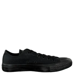 All Star Canvas Ox