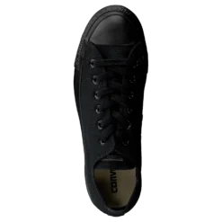 All Star Canvas Ox
