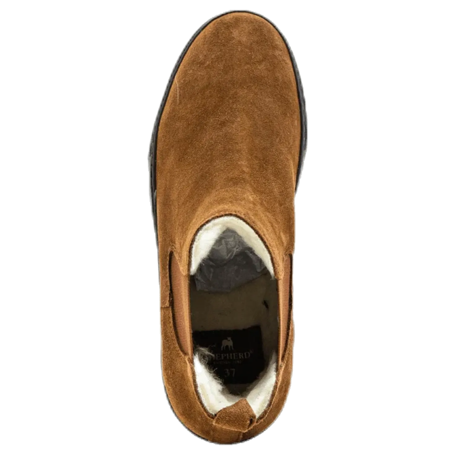 Amber Brown