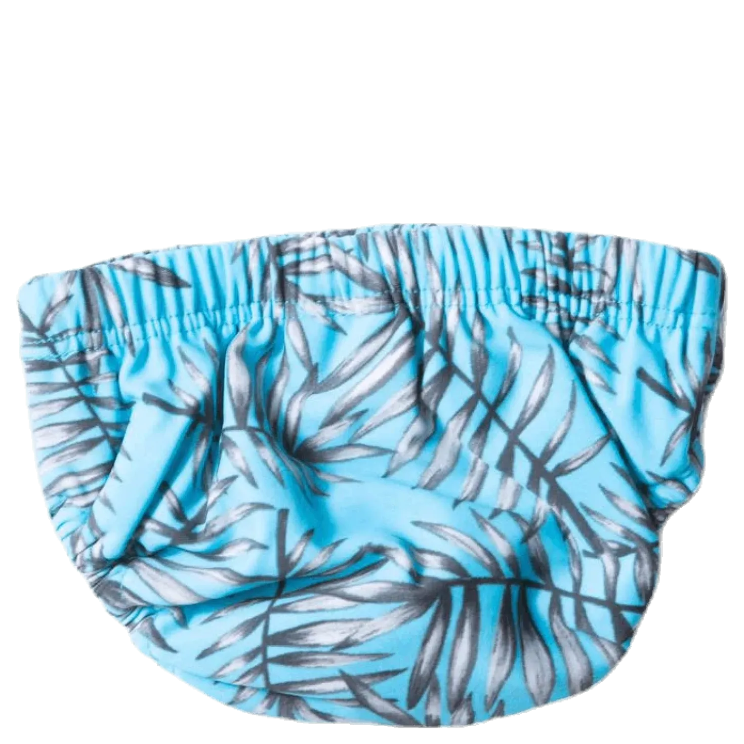 Bay Swim Diaper Blue