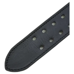 Bb Lifting Belt Black