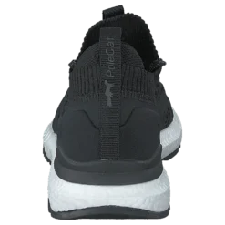 Beta Florida Black