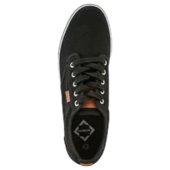 Boston Black
