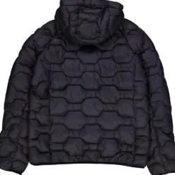 Branch 990 / Basic Black