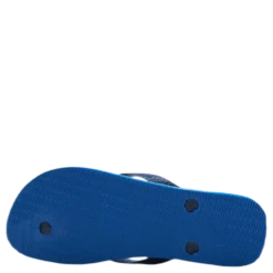 Brasil Fresh Blue/Green