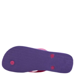 Brasil Fresh Pink/Purple