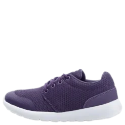 Brooke Purple