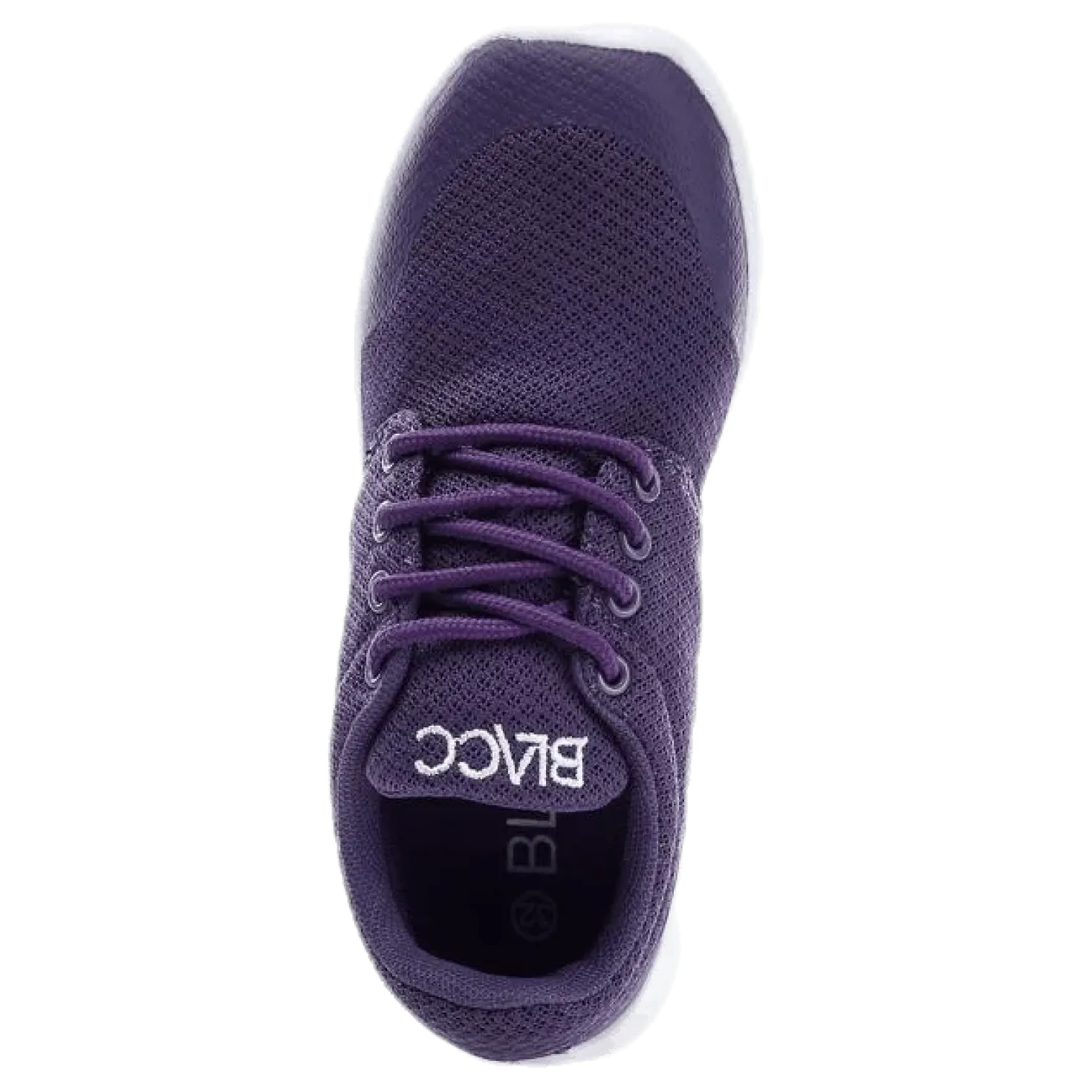 Brooke Purple