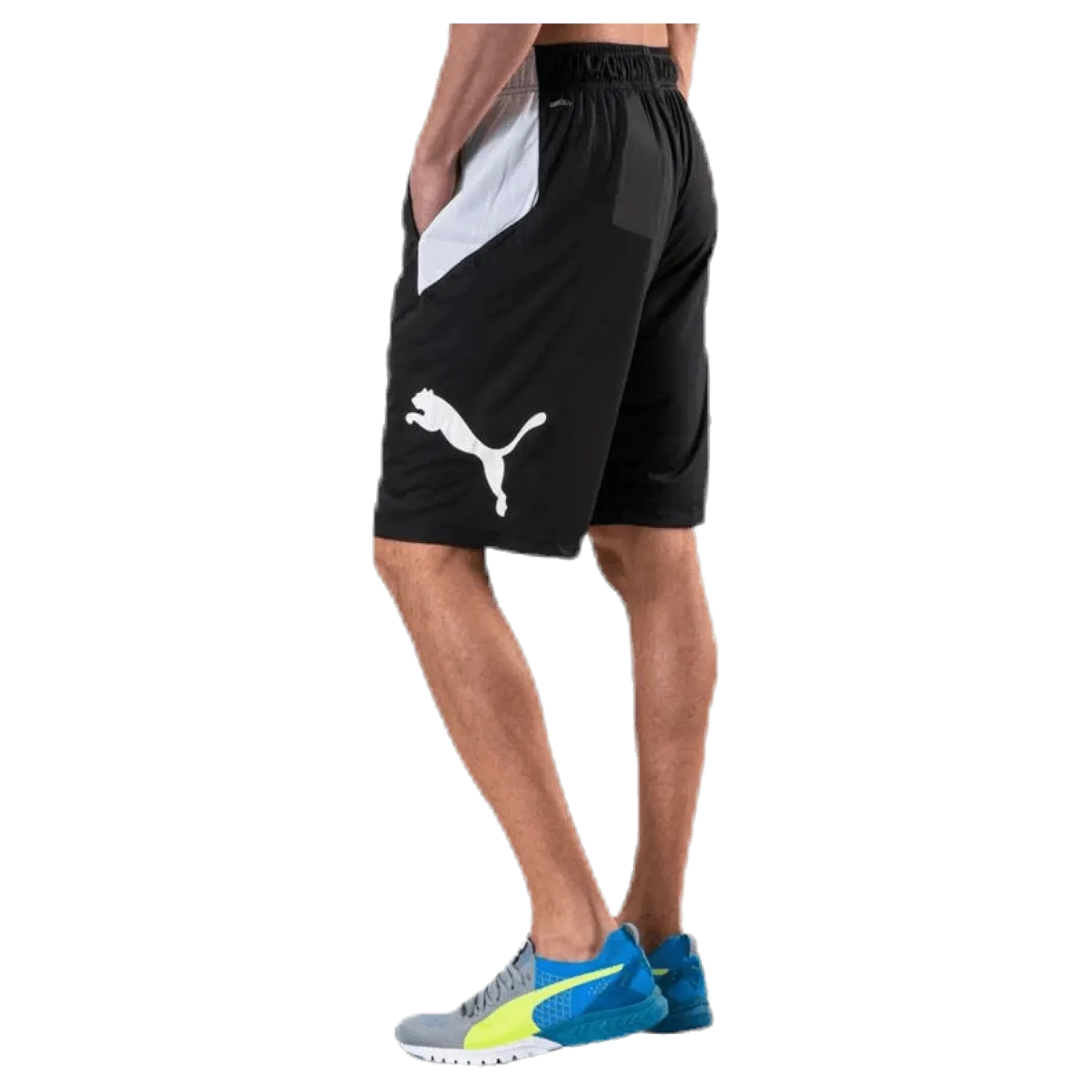 Cat Short White/Black