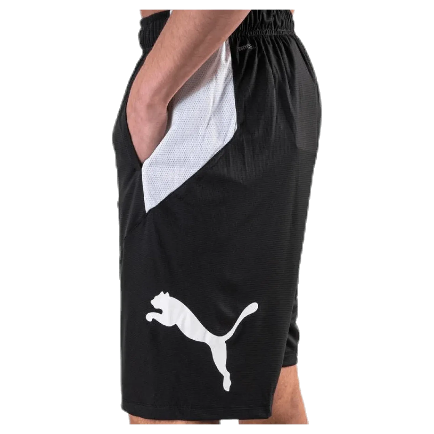 Cat Short White/Black