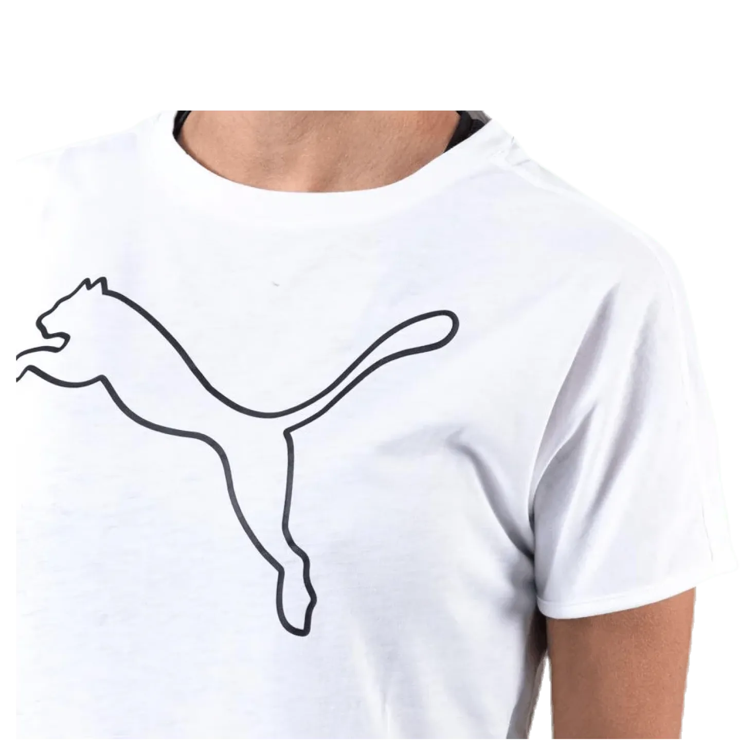Cat Tee White