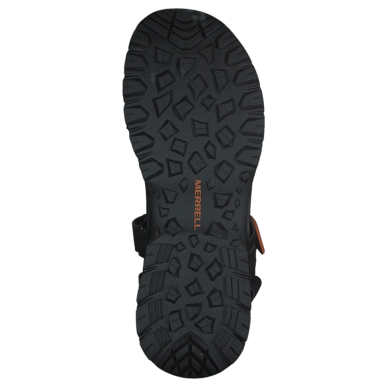 Cedrus Convert 3 Black