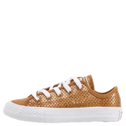 Chuck Taylor All Star Mesh Brown