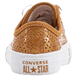 Chuck Taylor All Star Mesh Brown