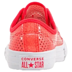 Chuck Taylor All Star Mesh Pink