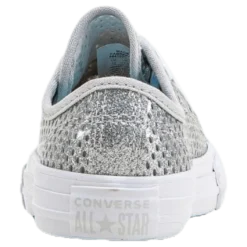 Chuck Taylor All Star Mesh Silver