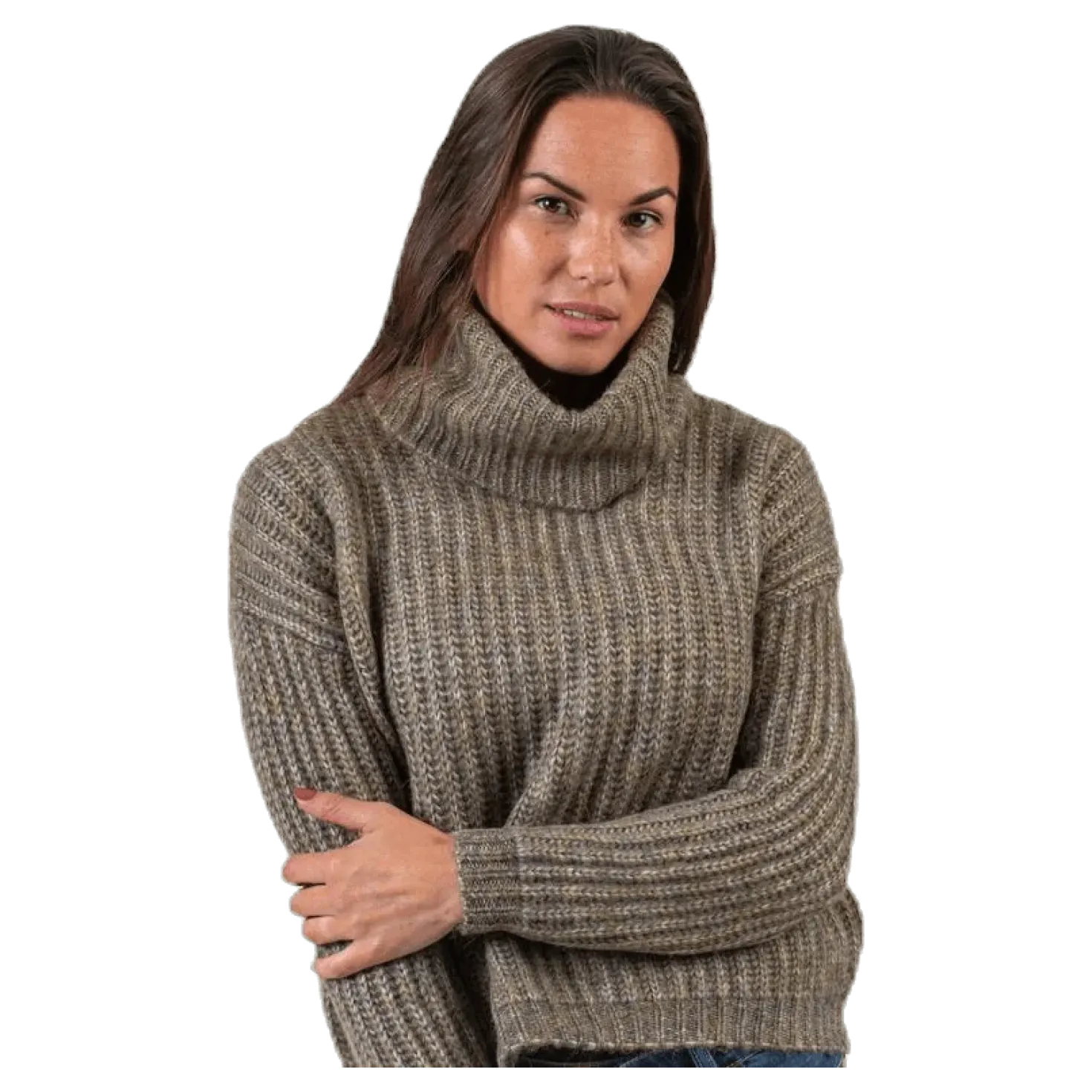 Chunky L/S Rollneck Pullover Beige