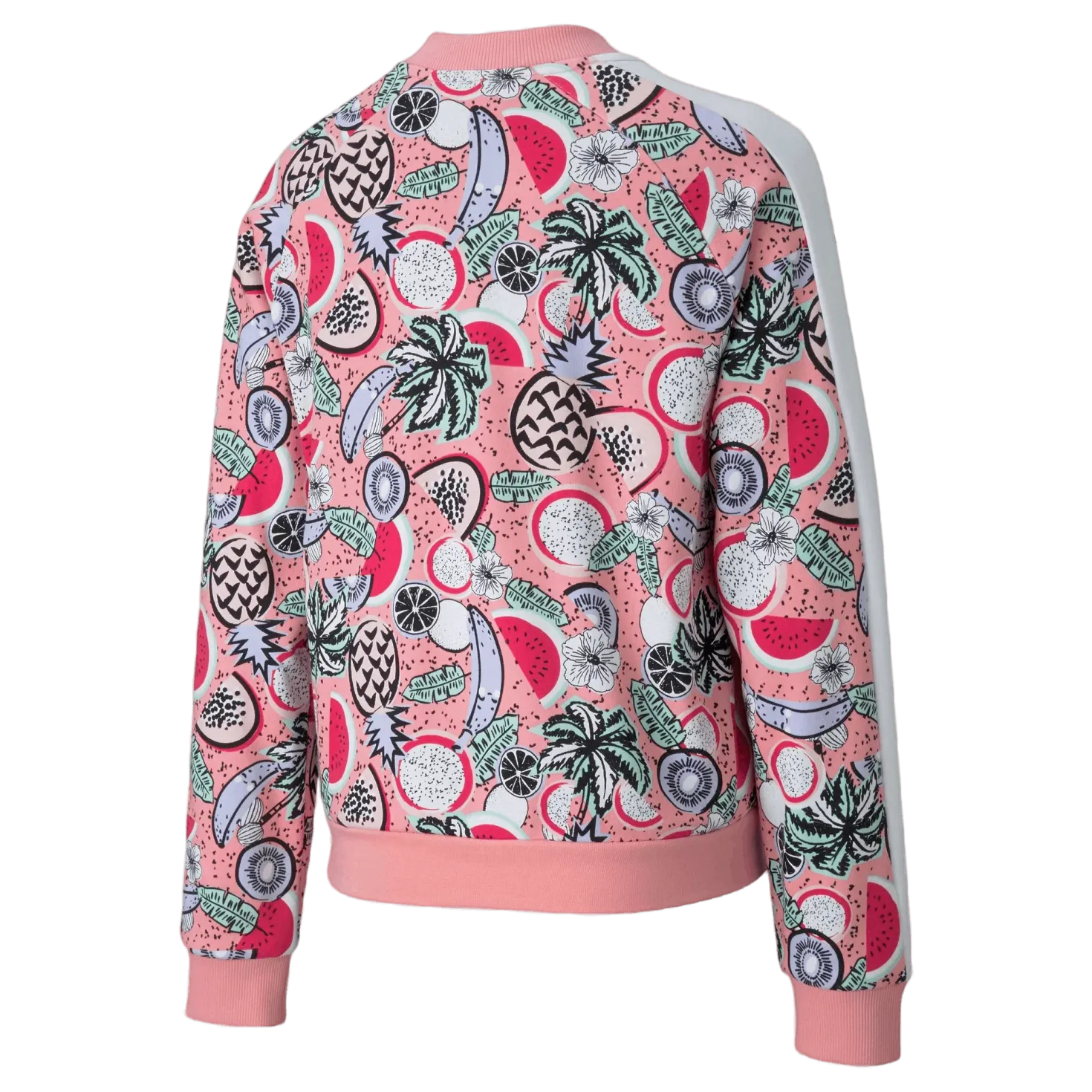 Classics Fruit Jacket G Pink