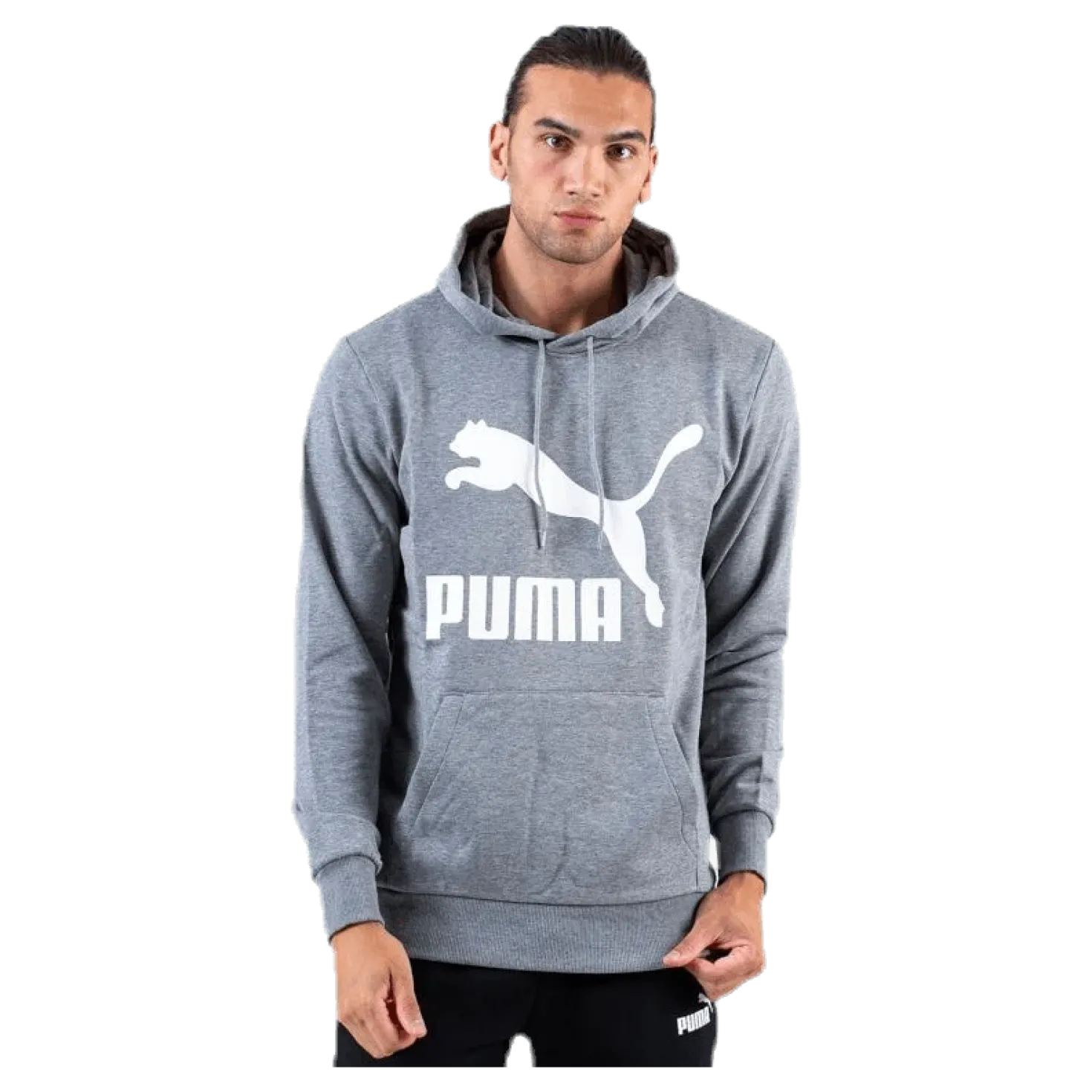 Classics Logo Hoody TR Grey