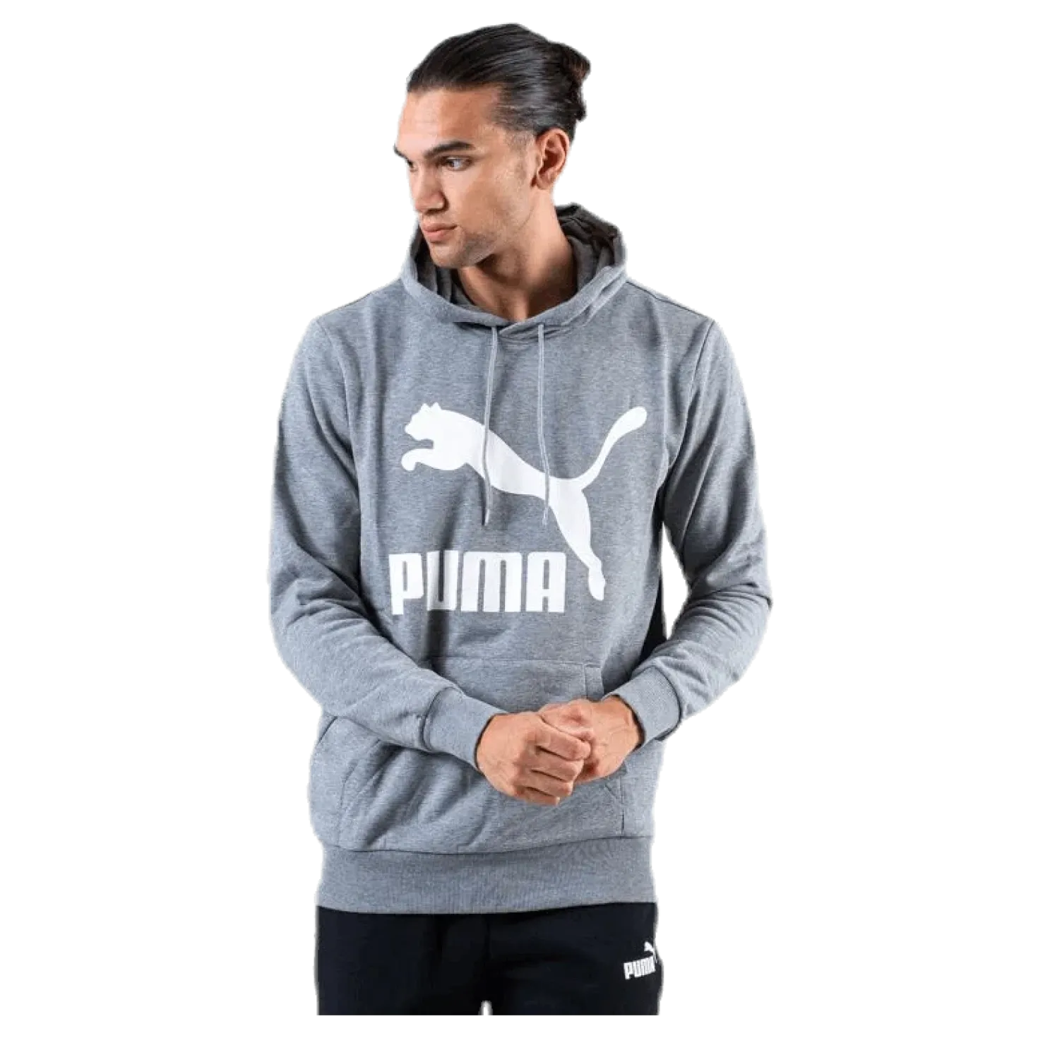 Classics Logo Hoody TR Grey