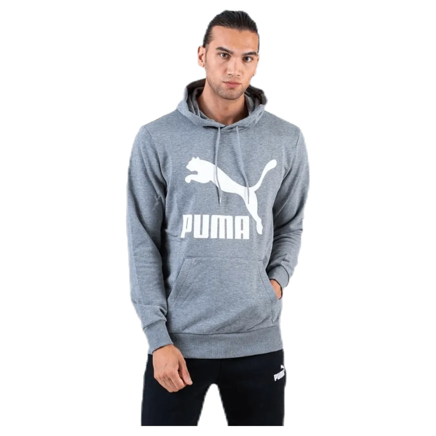 Classics Logo Hoody TR Grey