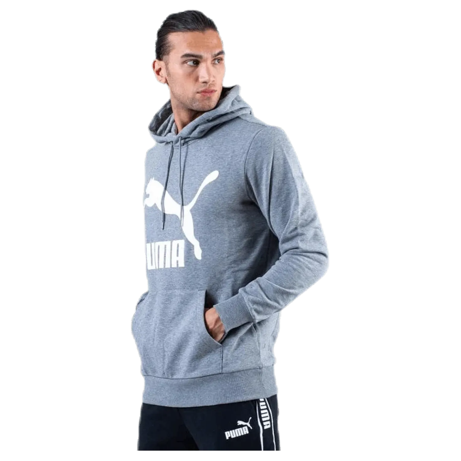 Classics Logo Hoody TR Grey