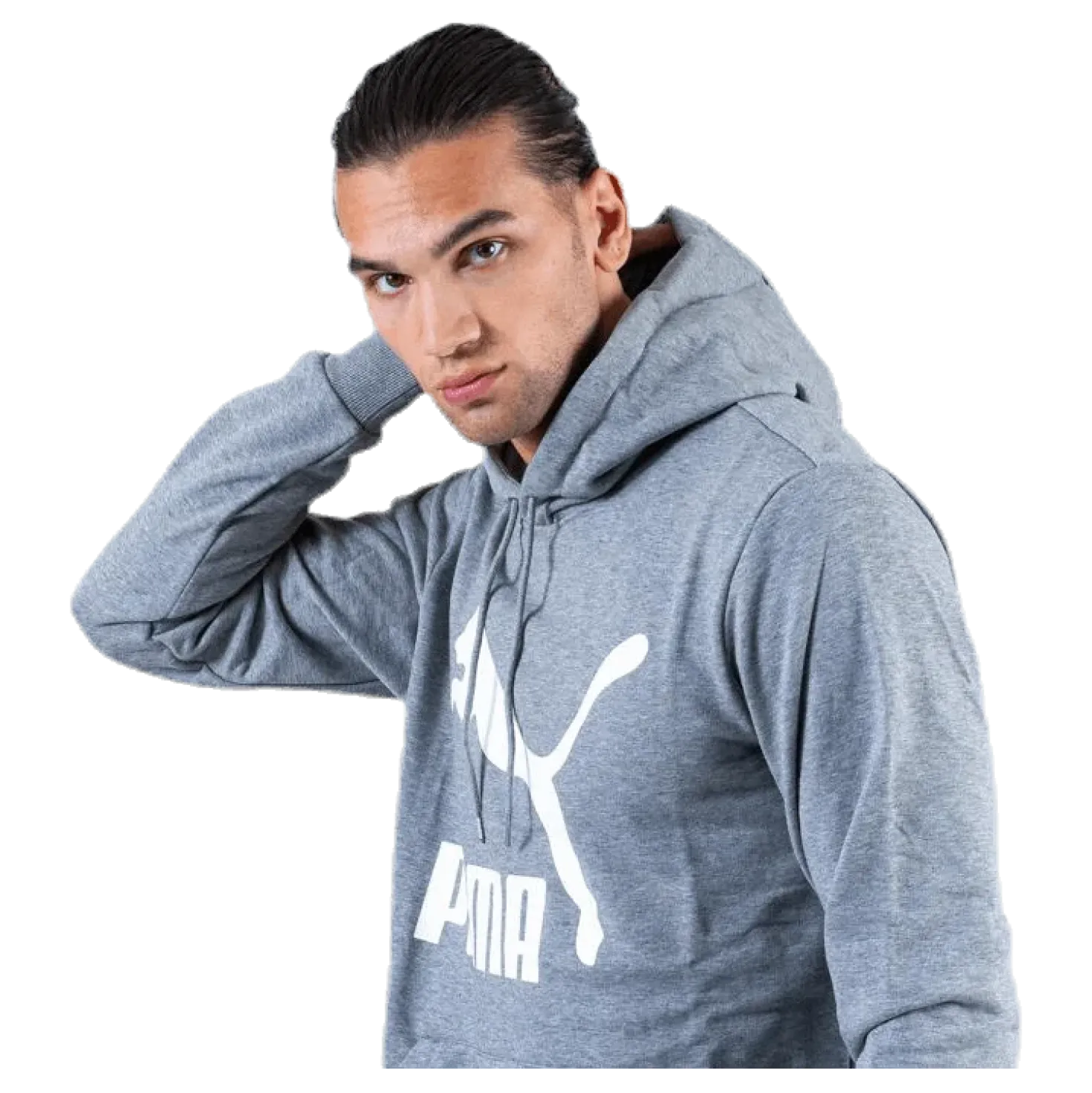 Classics Logo Hoody TR Grey
