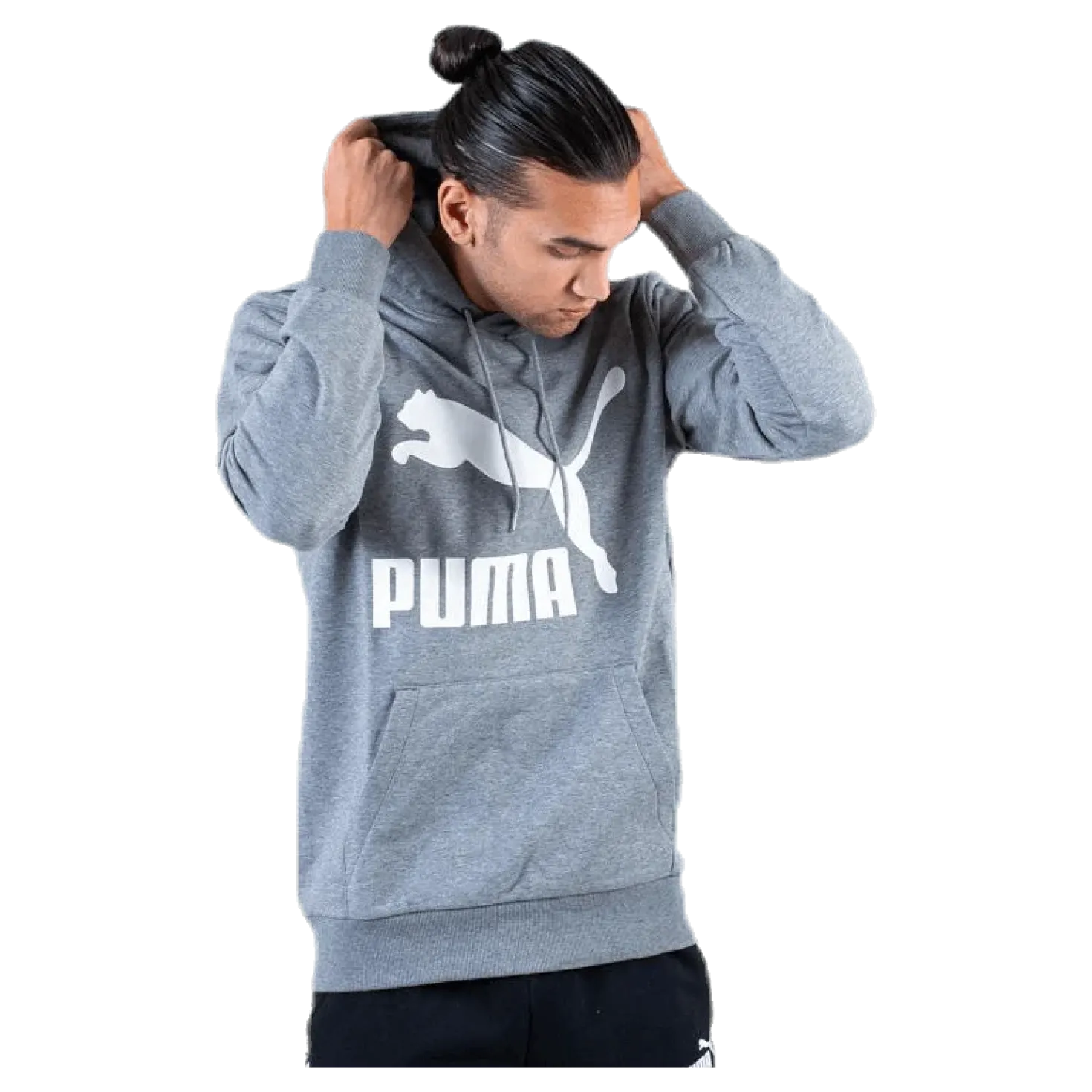 Classics Logo Hoody TR Grey
