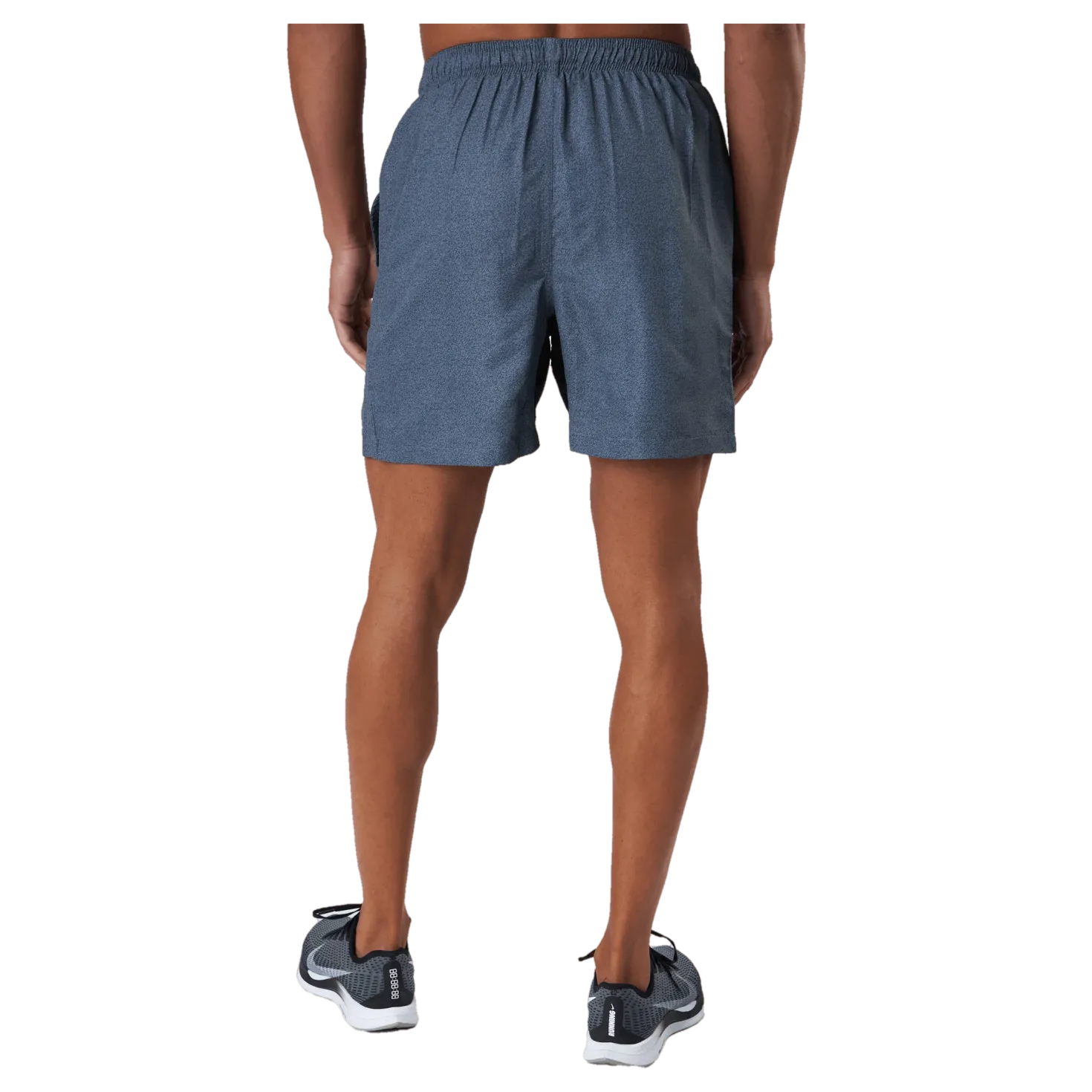 Cochi Grey