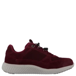 Credo Toronto Gtx Bordo