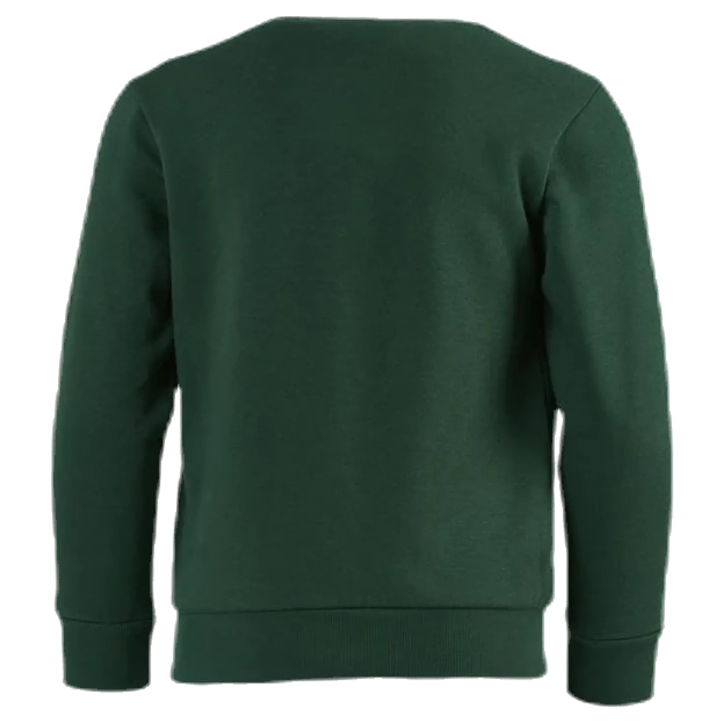 Crewneck Sweatshirt Junior Green