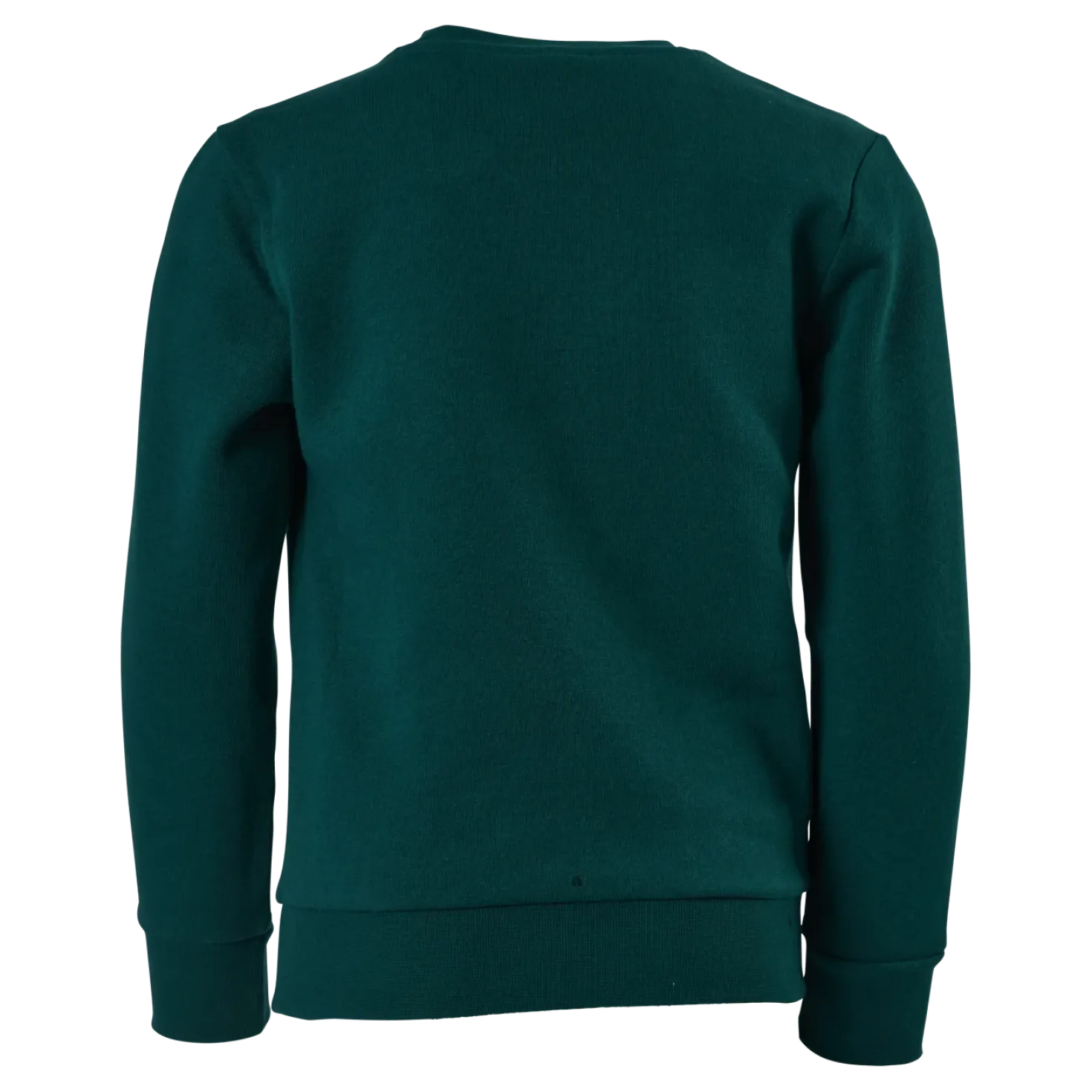 Crewneck Sweatshirt Rain Forest