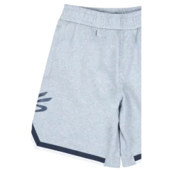 Curry Fleece 9'' Short Harbor
