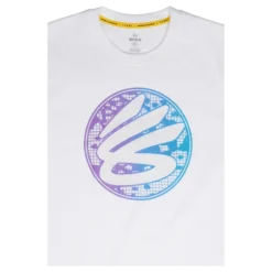 CURRY GRADIENT HVYWEIGHT SS