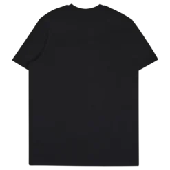 CURRY GRADIENT HVYWEIGHT SS