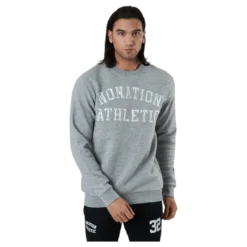 Dacota Crew Neck Sweater Grey