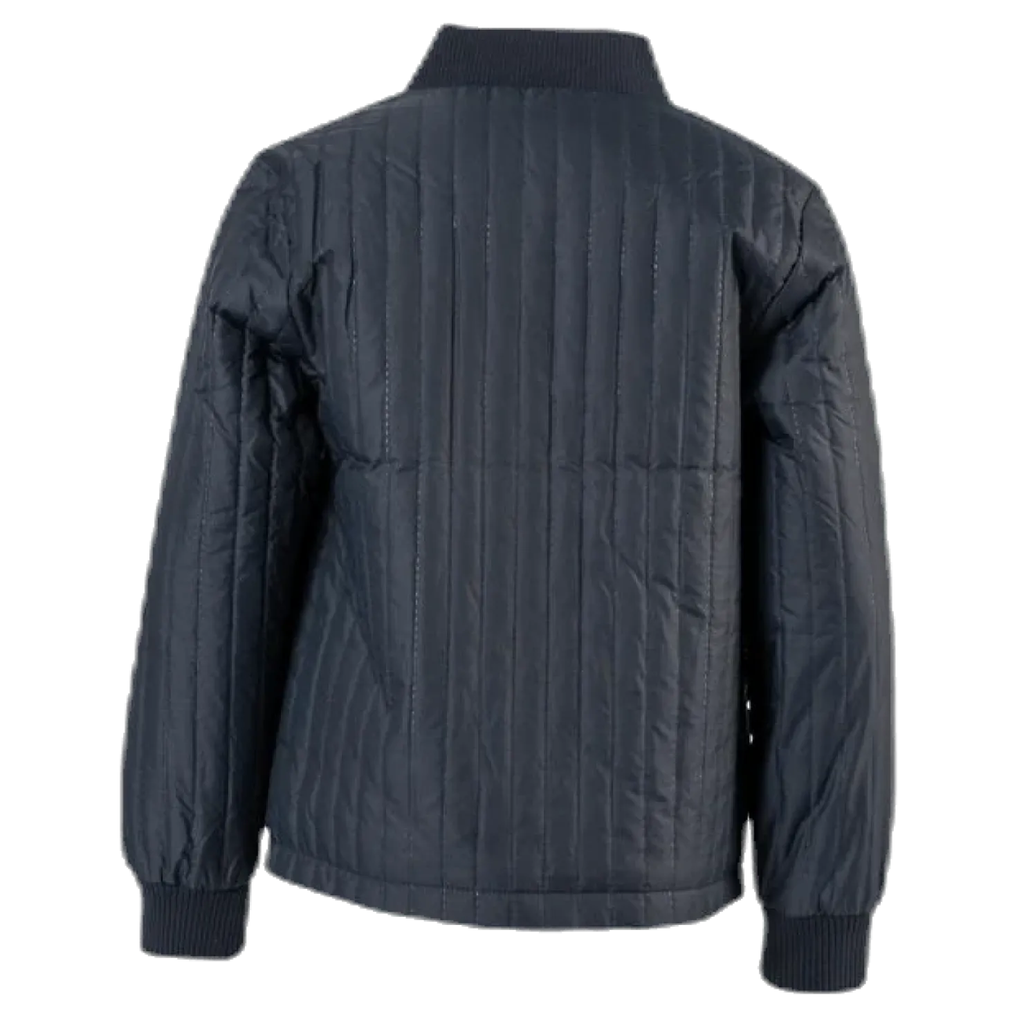 Dexter Thermo Jacket Blue