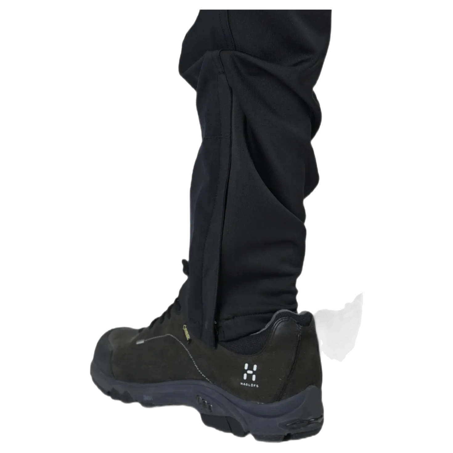 Dorr Black