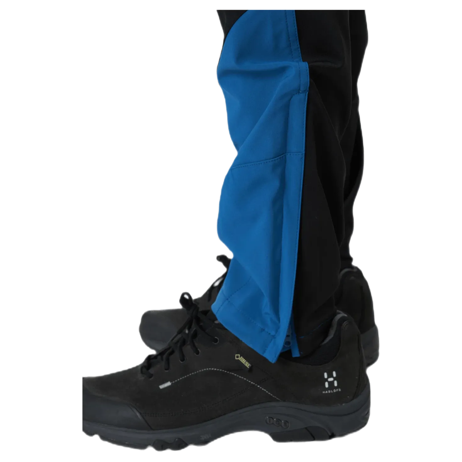 Dorr Blue