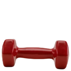 Dumbbell Vinyl 2,7KG/6LBS