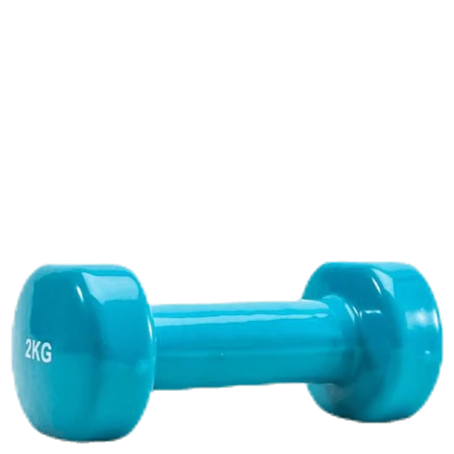 Dumbbell 1x2kg Blue