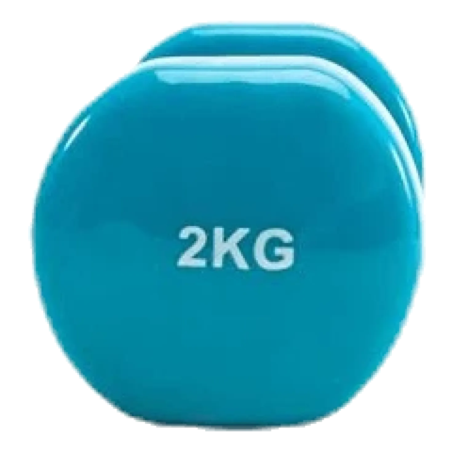 Dumbbell 1x2kg Blue