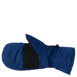 Dundret Mittens Blue