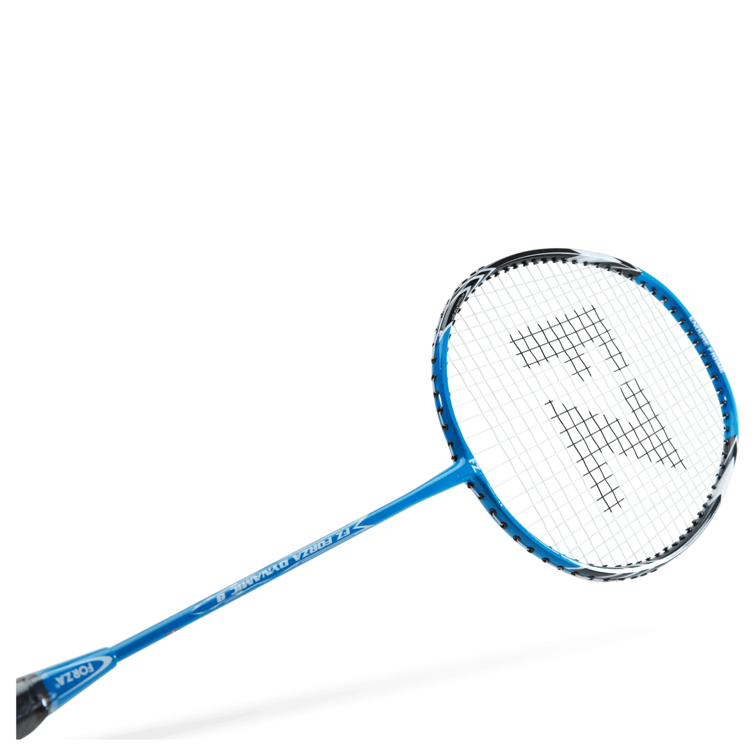 Dynamic 8 Blue Aster