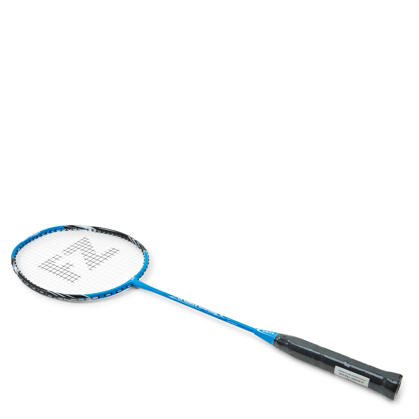 Dynamic 8 Blue Aster