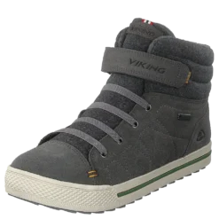 Eagle Iv Gtx Grey